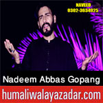 https://aliwalayazadar.blogspot.com/2020/08/nadeem-abbas-gopang-nohay-2021.html