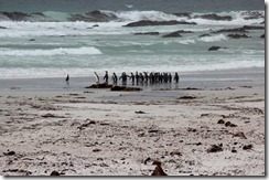 Stanley, Falkland Islands 219 (640x425)