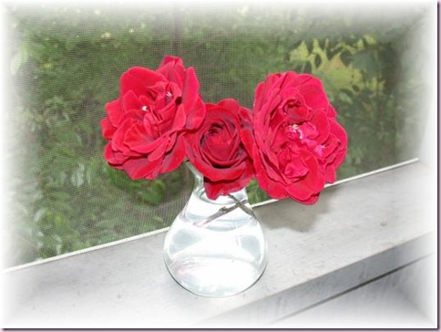 RosesSoft4178