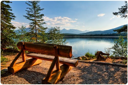 Imágenes de bosques y santuarios naturales (37 fotos)