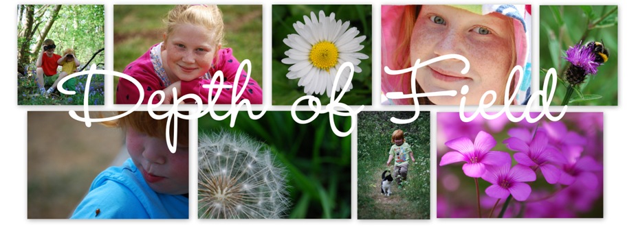 Depth of Field