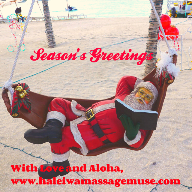 Santa relaxes on a hammock near Haleiwa