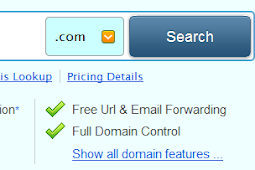 How Can I Purchase A Domain Name?