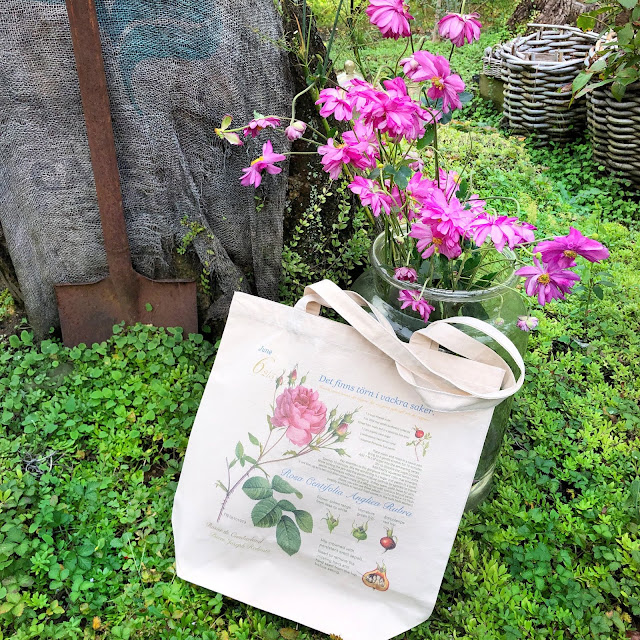 soft pink rose canvas tote bag regular in your garden.