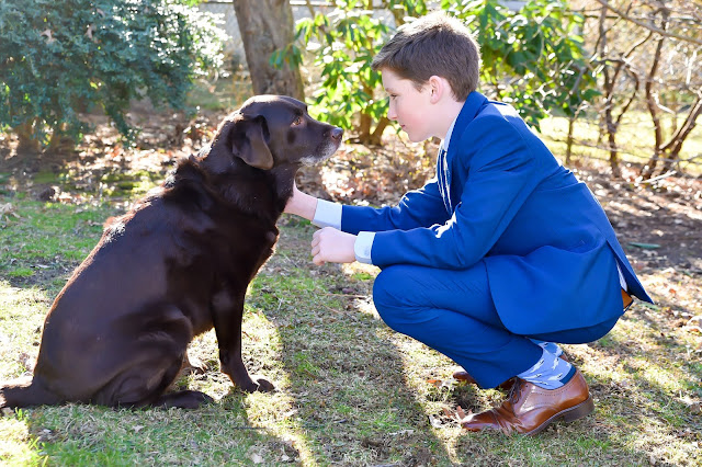 bar mitzvah boy, dog, westchester, photos, photography, photographer, portraits, best,