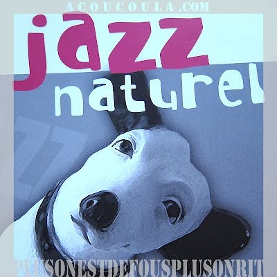 festival de jazz naturel orthez