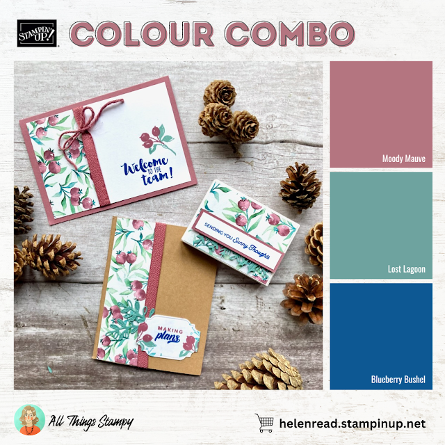 Stampin Up UK Winter Meadow colour combo