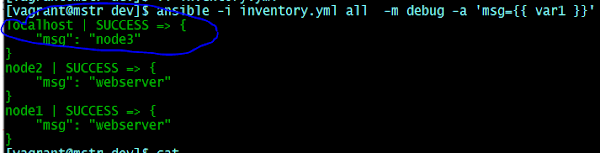 Ansible debug command
