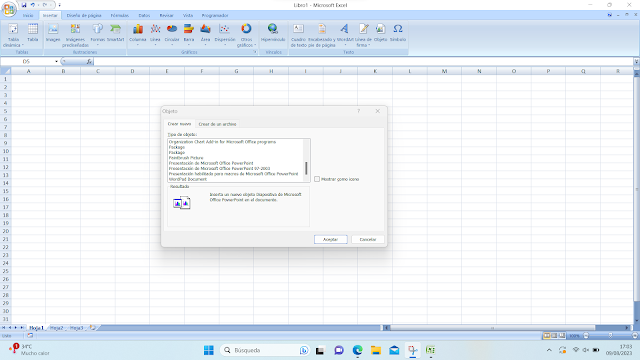 Objeto en Excel