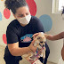 Terapia com cães ajuda na recuperação de pacientes no Hospital de Trauma de João Pessoa