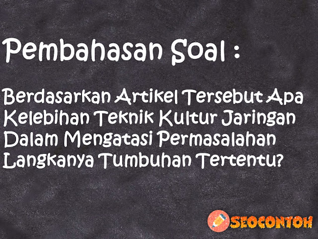 kekurangan teknik kultur jaringan dalam mengatasi permasalahan langkanya tumbuhan tertentu, berikut ini yang bukan kelebihan teknik kultur jaringan adalah, kelebihan dan kekurangan kultur jaringan, mengapa hanya bagian tertentu pada tumbuhan yang dapat digunakan sebagai bahan untuk kultur jaringan, contoh tanaman kultur jaringan, contoh kultur jaringan, kultur jaringan pisang, Apa Kelebihan teknik kultur jaringan dalam mengatasi permasalahan langkanya tumbuhan, Apa saja kelebihan dan kekurangan dari perbanyakan tanaman secara kultur jaringan, Apa tujuan dari teknik kultur jaringan tumbuhan, Apa yang dimaksud dengan kultur jaringan dan apa keuntungannya, Apa kelemahan penggunaan teknik kultur jaringan dalam mengatasi permasalahan langkanya tumbuhan, Berdasarkan hasil pengamatan Kalian tergolong kingdom apakah organisme yang Kalian amati, apakah teknik kloning tepat digunakan sebagai salah satu cara mengatasi permasalahan langkanya hewan tertentu