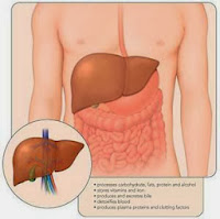 http://agenjellygamatgoldgmagelang.blogspot.com/2013/10/obat-liver-alami.html