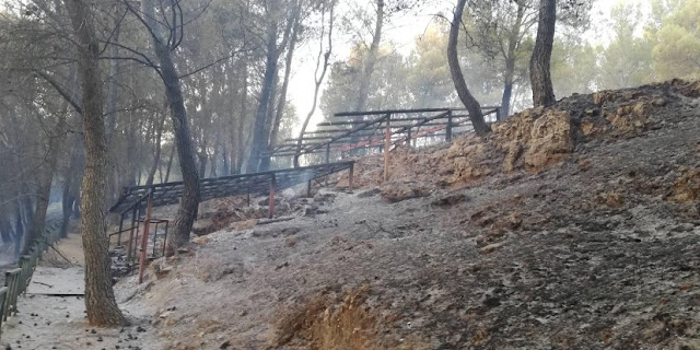 ΥΠΠΟΑ για Πόρτες Αχαΐας: Ανακοίνωση για την έντονη φημολογία δήθεν καταστροφής του Μυκηναϊκού νεκροταφείου