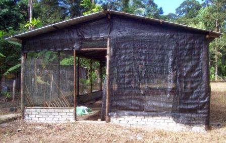 Kondisi Kandang Sebagai Penunjang Pemeliharaan Ayam Jawa super