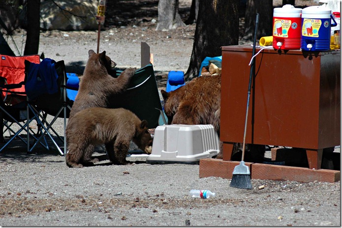 Camping 2005-37