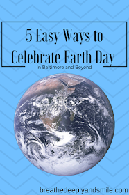 5-easy-ways-to-celebrate-earth-day1