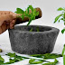 Tulsi : तुलसी के फायदे, उपयोग और औषधीय गुण Tulsi Benefits and Uses in Hindi