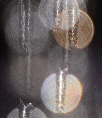 orbs with vertical stripe