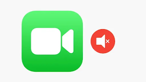 How to Mute the Other Person on FaceTime iPhone?