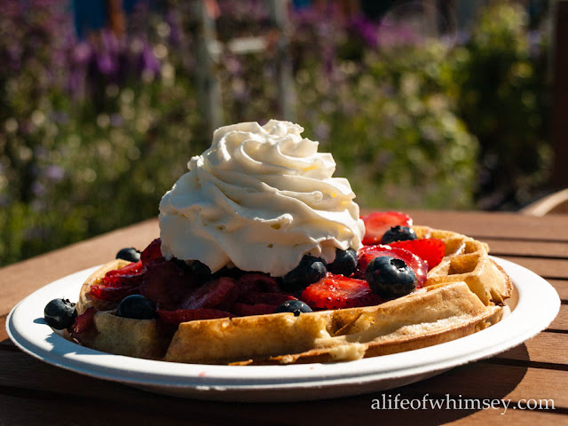 Waffles in the garden