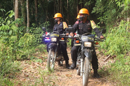  Tim Patroli Karhutla, Personel Satbrimob Polda Kalbar Selusuri Wilayah Hutan Yang  Rawan Kebakaran