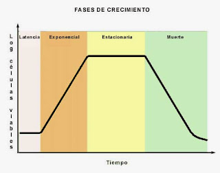 Resultado de imagen de curva de crecimiento de un cultivo bacteriano