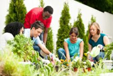 Group of teenage friends gardening. 