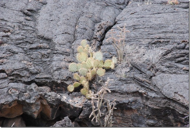 04-10-13 B Valley of Fire NRA 058
