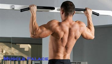 workout for bigger lats