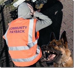 community payback bib & dog