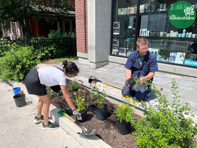 University of Ottawa student and staff member planting pollinator-friendly flowers at Annex residence