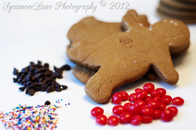 December 2012-gingerbread men-w