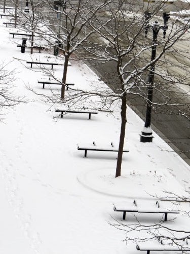 benches in the snow