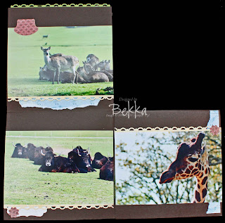 Whipsnade Zoo Mini Book