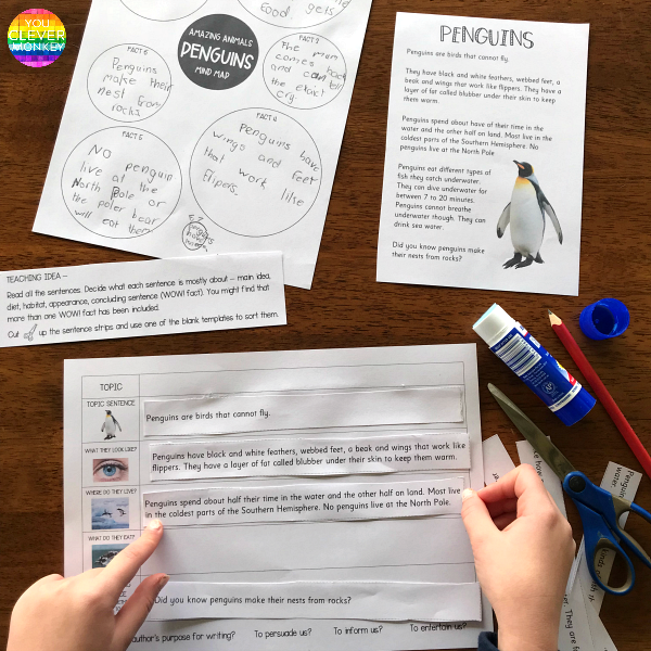 Information Text Writing Made Easier For Elementary Grades | you clever monkey