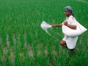 Union Budget 2018 - Agriculture and rural economy