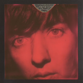  Tell Me How You Really Feel de Courtney Barnett en iTunes 