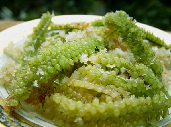 Steamed Ragi Sweet, my guest post on Tongue Ticklers.