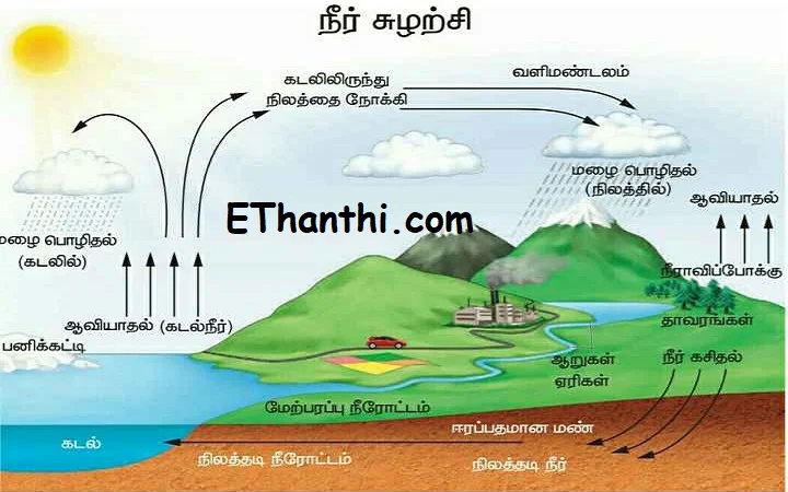 மேகவெடிப்பு என்றால் என்ன? எப்படி ஏற்படுகிறது? ஆபத்தானதா?