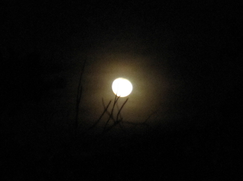 HomeMade DIY HowTo Make: Dim light of the moon beam