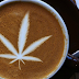 Café com maconha faz mal?