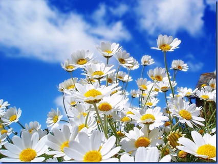 primavera
