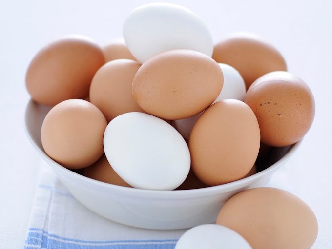 Salmonella enteritidis nelle uova fresche da allevamento a terra, allerta del Ministero della Salute