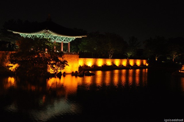 Anapji Pond at Night