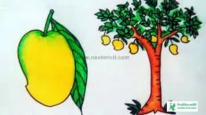 আমের ছবি আঁকা - আমের ছবি ডাউনলোড - কাঁচা আমের পিকচার, পিক - mango pic - NeotericIT.com - Image no 15