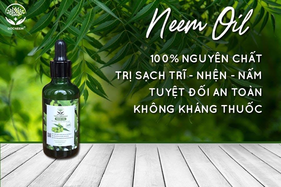 Lý do chọn dầu neem nguyên chất Docneem là gì?