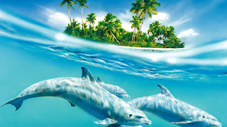 delfines en el oceano