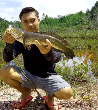 Spot iikan babon ikan predator danau setinting