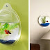 We LOOOVE This Wall Mounted Acrylic Fish Bowl