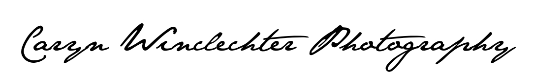 Caryn Winclechter Photography